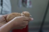 thumbnails/001-IMG_2331.JPG.small.jpeg
