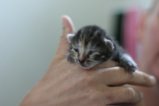 thumbnails/004-IMG_2336.JPG.small.jpeg