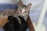 thumbnails/005-IMG_2338.JPG.small.jpeg