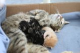 thumbnails/008-IMG_2341.JPG.small.jpeg
