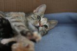 thumbnails/010-IMG_2344.JPG.small.jpeg