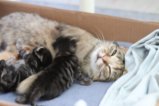 thumbnails/012-IMG_2347.JPG.small.jpeg
