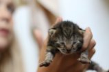 thumbnails/016-IMG_2352.JPG.small.jpeg