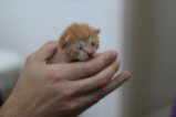 thumbnails/018-IMG_2358.JPG.small.jpeg