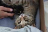 thumbnails/019-IMG_2361.JPG.small.jpeg