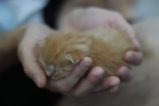 thumbnails/020-IMG_2367.JPG.small.jpeg