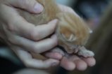 thumbnails/023-IMG_2371.JPG.small.jpeg