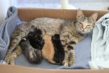 thumbnails/028-IMG_2385.JPG.small.jpeg