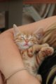 thumbnails/002-IMG_4731.JPG.small.jpeg