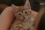 thumbnails/005-IMG_4741.JPG.small.jpeg