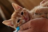 thumbnails/006-IMG_4742.JPG.small.jpeg