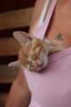 thumbnails/010-IMG_4757.JPG.small.jpeg